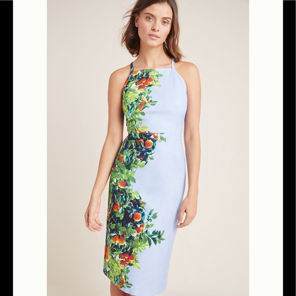 NWT Anthropologie Orange bough dress - Picture 2 of 7